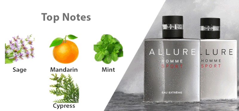 M&ugrave;i hương nước hoa Chanel Allure Homme Sport Eau Extreme hiện đại, ấm &aacute;p